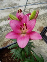 [1689 JazzItUp DJ No01.JPG]